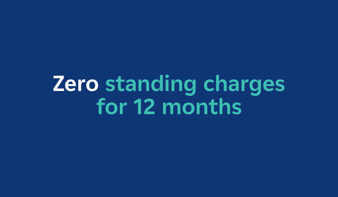 Zero standing charge tariff from EDF